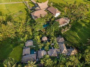 Libur Akhir Tahun Bernuansa Tropis di Tengah Hamparan Sawah Tegallalang