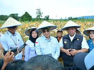 Wamentan dan Bupati Dairi Lakukan Tanam Sorgum di KPT Desa Lau Mil