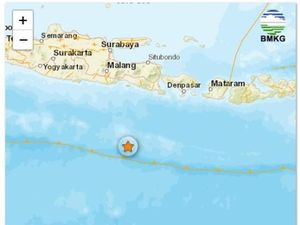 Gempa M 4,9 Guncang Jember Gempa M 4,9 Guncang Jember