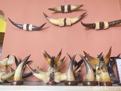 Intip Lebih Dekat Kerajinan Tanduk di Kampung Inggris Sukabumi