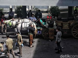 Ini Dia Kereta Kuda untuk Akad Nikah Kaesang-Erina Ini Dia Kereta Kuda untuk Akad Nikah Kaesang-Erina