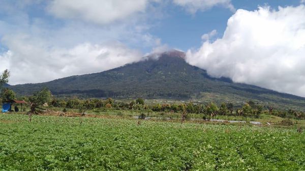 Potret Gunung Kerinci Terkini Usai Erupsi, Tampak Kembali Normal