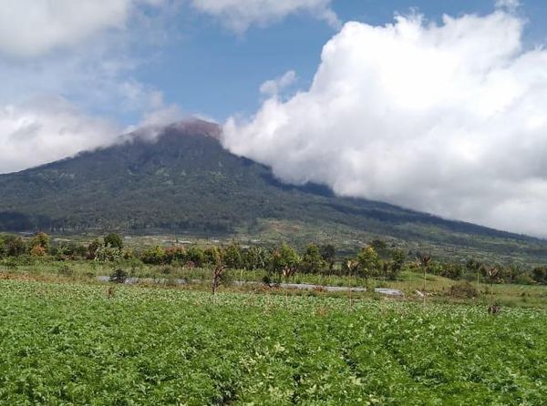 Potret Gunung Kerinci Terkini Usai Erupsi, Tampak Kembali Normal