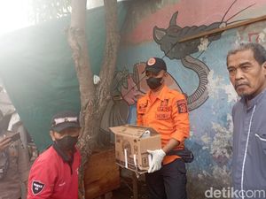 Bayi yang Dibuang di Menanggal Surabaya Tewas karena Dibekap Ibunya Bayi yang Dibuang di Menanggal Surabaya Tewas karena Dibekap Ibunya