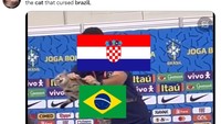 Kucing malang itu viral di media sosial menyusul kekalahan Brasil dari Kroasia dalam adu penalti. (Foto: Twitter)