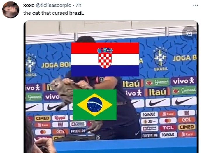 Meme Timnas Brasil gugur di Piala Dunia 2022 gegara 'azab' usir kucing di konferensi pers.