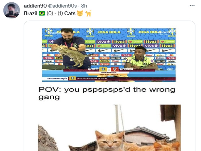 Meme Timnas Brasil gugur di Piala Dunia 2022 gegara 'azab' usir kucing di konferensi pers.