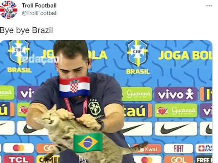 Meme Brasil gugur di Piala Dunia gegara 'azab' aniaya kucing.
