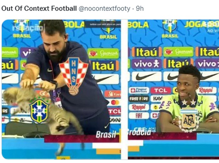 Meme Brasil gugur di Piala Dunia gegara 'azab' aniaya kucing.
