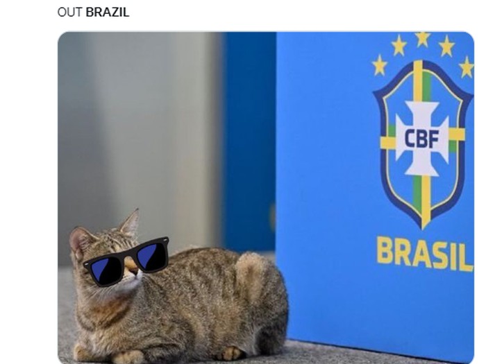 Meme Timnas Brasil tersingkir dari Piala Dunia 2022 gegara 'azab' aniaya kucing.