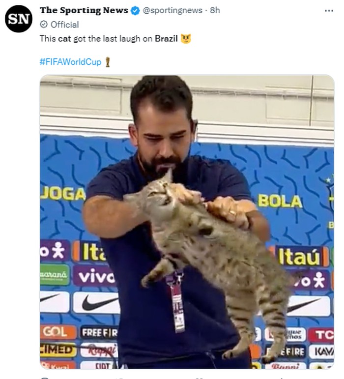 Meme Kucing Meme Timnas Brasil gugur di Piala Dunia 2022 gegara 'azab' usir kucing di konferensi pers.