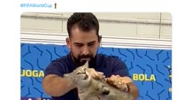 Timnas Brasil dikecam lantaran mengusir paksa kucing yang nimbrung konferensi pers Vinicius Junior jelang duel kontra Kroasia. (Foto: Twitter)