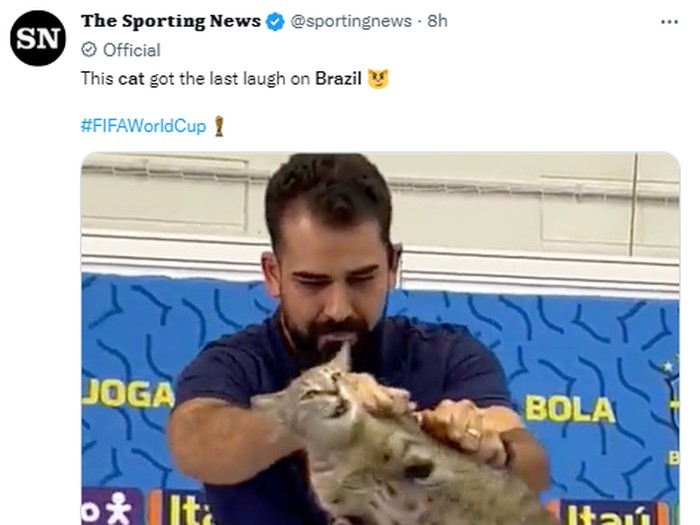 Meme Timnas Brasil gugur di Piala Dunia 2022 gegara 'azab' usir kucing di konferensi pers.