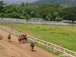 Aslik! Senam Jantung Banget Nonton Langsung Pacuan Kuda di Dompu