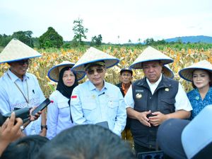 Alasan Wamentan Tanam Sorgum 2 Hektare di KPT Desa Lau Mil