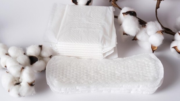 Alasan penetapan pajak tampon/Foto: Freepik.com/EvgenySmykov Hal yang perlu diketahui tentang pajak tampon