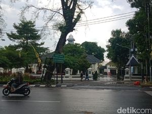 Dikira Endorse Saat Posting Meong di Medsos, Gibran: Itu Kucing Saya Dikira Endorse Saat Posting Meong di Medsos, Gibran: Itu Kucing Saya