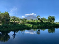 Kolam Koro Sembalun Spot Healing Sambil Petik Stroberi di Kaki Rinjani