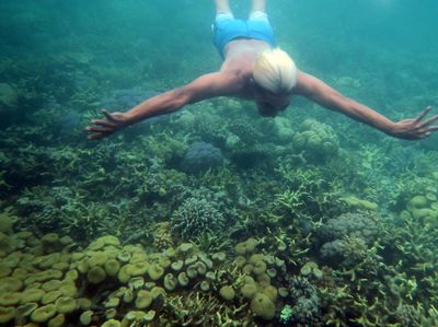 Menikmati Wisata Bawah Laut Wakatobi