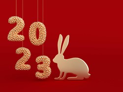 Ramalan Tahun Kelinci Air 2023, 5 Shio Ini Temukan Cinta Sejati