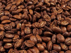 3 Fakta Biji Kopi Pacamara, Salah Satu Biji Kopi Terbaik Tahun 2022