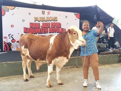 Abah Lala Ojo Dibandingke Dapat 1 Sapi Metal dari DPRD Boyolali, Kok Bisa?