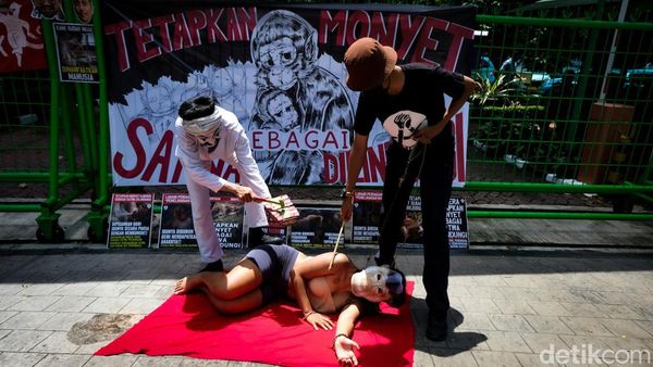 Aksi Teatrikal Desak Pemerintah Tetapkan Monyet Jadi Satwa Dilindungi