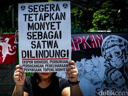 Sejarah Hari Monyet Sedunia 14 Desember dan Link Pusat Studi Satwa Primata