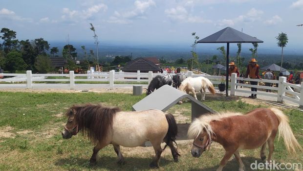 Cepogo Cheese Park, tempat wisata baru di Boyolali. Foto diambil Senin (12/12/2022).