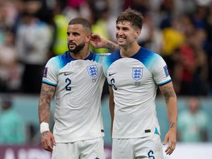 Inggris Bawa Pulang Seekor Kucing Usai Tersingkir di Piala Dunia 2022