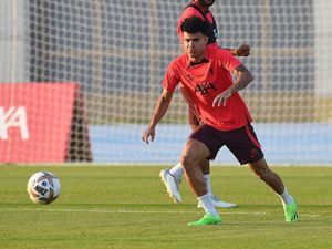 Luis Diaz Cedera Lagi, Absen sampai Maret