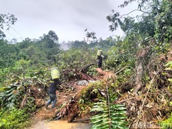 Longsor Tutup Akses Jalan di Polewali Mandar, 3 Wilayah Terisolir