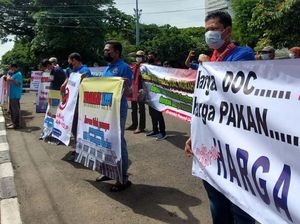 Usai Didemo, Zulhas Bakal Atur Waktu Bertemu Peternak Ayam Usai Didemo, Zulhas Bakal Atur Waktu Bertemu Peternak Ayam