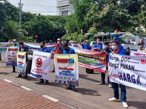 Harga Ayam Anjlok, Peternak Seruduk Kantor Zulhas Hari Ini
