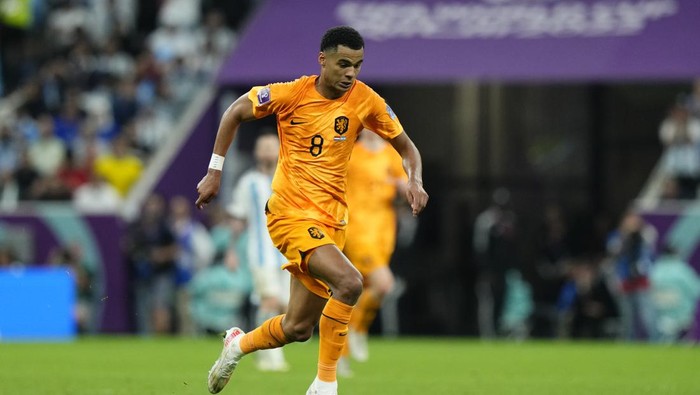 Cody Gakpo left winger of Netherlands and PSV Eindhoven during the FIFA World Cup Qatar 2022 quarter final match between Netherlands and Argentina at Lusail Stadium on December 9, 2022 in Lusail City, Qatar. (Photo by Jose Breton/Pics Action/NurPhoto via Getty Images)