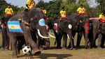 Tendangan Gajah-gajah Thailand Ikut Meriahkan Piala Dunia 2022