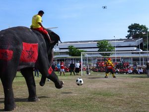 Tendangan Gajah-gajah Thailand Ikut Meriahkan Piala Dunia 2022 Tendangan Gajah-gajah Thailand Ikut Meriahkan Piala Dunia 2022
