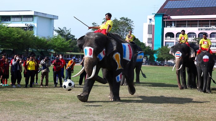 An elephant kicks a penalty shot during a soccer match with students in Ayutthaya province, Thailand, December 13, 2022. REUTERS/Athit Perawongmetha