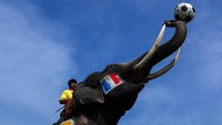 Masing-masing gajah ditunggangi seorang siswa.  