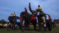 Setiap gajah dilukis bendera negara-negara peserta Piala Dunia 2022.  
