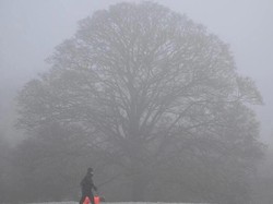 BMKG Prediksi Hujan Lebat-Angin Kencang di Sumsel Hari Ini, Ini Lokasinya