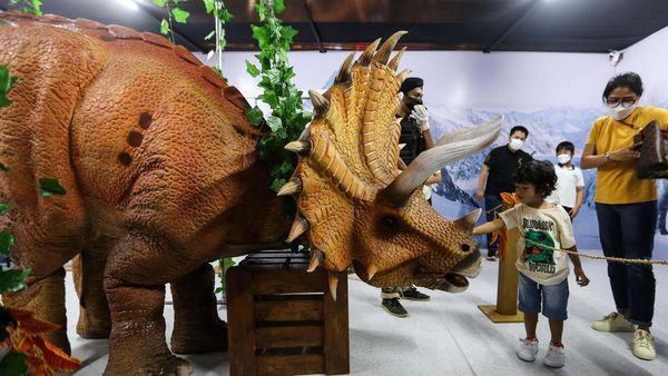 Intip Petualangan Seru Anak-anak di Dino Xscape