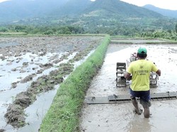 Selesai Diperbaiki, Irigasi Berampu Kembali Aliri 70 Hektare Sawah
