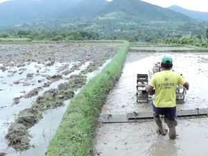 Selesai Diperbaiki, Irigasi Berampu Kembali Aliri 70 Hektare Sawah Selesai Diperbaiki, Irigasi Berampu Kembali Aliri 70 Hektare Sawah