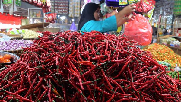 Jelang Nataru, Harga Cabai Merah di Ternate Merangkak Naik