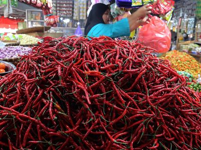 Jelang Nataru, Harga Cabai Merah di Ternate Merangkak Naik