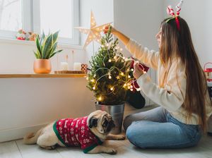 50 Ucapan Selamat Natal Bahasa Indonesia dan Bahasa Inggris, Cek di Sini! 50 Ucapan Selamat Natal Bahasa Indonesia dan Bahasa Inggris, Cek di Sini!