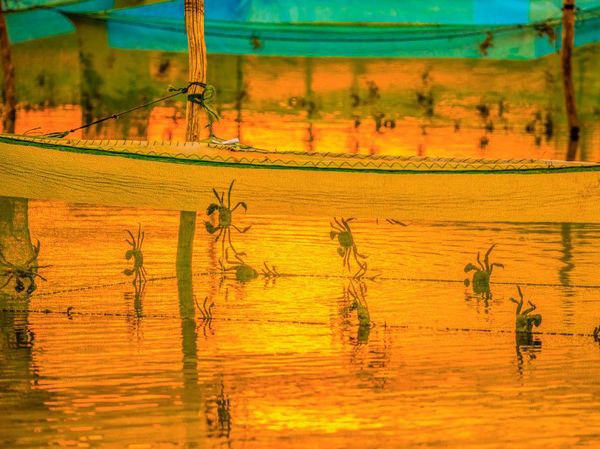 Pesona Matahari Terbenam di Tempat Penangkaran Kepiting di China