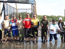 Hari Juang TNI AD Ke-77, Kodim 1611/Badung Tanam 2.000 Bibit Mangrove