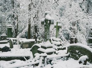 Hujan Salju di Jepang Tewaskan 8 Orang